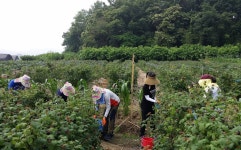 게시물 보기 페이지