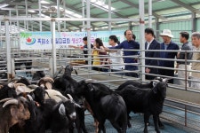 게시물 보기 페이지