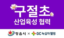게시물 보기 페이지