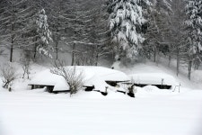 사진으로보는정선(2008~2020) - 설경(임계면) 상세화면 | 정선군청 > 열린군정 > 참여소통 > 사진으로보는정선 > 사진으로보는정선(2008~2020)