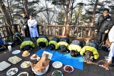 사진으로보는정선(2008~2020) - 여량면 염장봉 제례 상세화면 | 정선군청 > 열린군정 > 참여소통 > 사진으로보는정선 > 사진으로보는정선... 