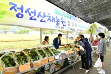 사진으로보는정선(2008~2020) - 정선산나물 팔아주기 특판행사 상세화면 | 정선군청 > 열린군정 > 참여소통 > 사진으로보는정선... 