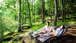 정선 사진 여행 - 백두대간-생태수목원 상세화면 | 정선관광 > 여행정보 > 정선 사진 여행