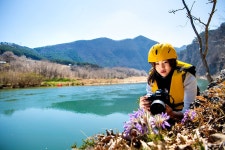 정선 사진 여행 - 동강할미꽃 상세화면 | 정선관광 > 여행정보 > 정선 사진 여행