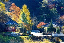 정선 사진 여행 - 화암약수터 상세화면 | 정선관광 > 여행정보 > 정선 사진 여행