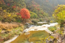 관광명소 | 정선관광 > 정선여행 > 관광명소 > 소금강계곡