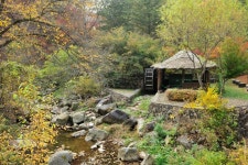 관광명소 | 정선관광 > 정선여행 > 관광명소 > 화암약수 야영장