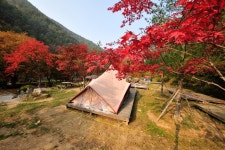 관광명소 | 정선관광 > 정선여행 > 관광명소 > 화암약수 야영장