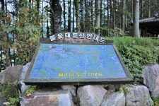 관광명소 | 정선관광 > 정선여행 > 관광명소 > 몰운대 등산로