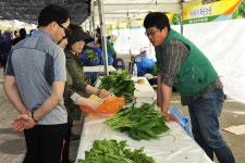 축제 | 정선관광 > 정선여행 > 축제 > 정선 곤드레산나물 축제