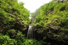 관광명소 | 정선관광 > 정선여행 > 관광명소 > 오장폭포