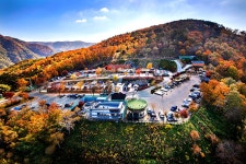 관광명소 - 전체보기 최신순 | 정선관광 > 정선여행 > 관광명소