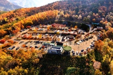 관광명소 | 정선관광 > 정선여행 > 관광명소 > 동강전망자연휴양림