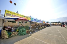 축제 | 정선관광 > 정선여행 > 축제 > 민둥산은빛억새축제