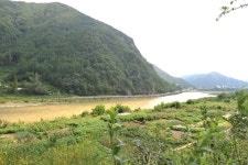 알뜰장터 - 정선군 봉양리 (정선병원-가리왕산길. 동강길 식당자리 매매) 상세화면 | 정선군청 > 열린군정 > 참여소통 > 군민소통 > 알뜰장터