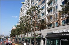 서울 중구, 다산로, 퇴계로구간 소나무 봄맞이 새단장 - 전국매일신문... 뉴스를 ‘한눈에’ 서울 중구, 다산로, 퇴계로구간 소나무 봄맞이 새단장