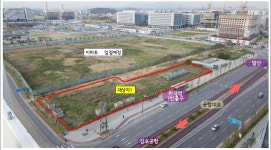 강서구, 마곡역 지상부 철도부지에 유채꽃밭 조성 - 전국매일신문... 생생한 뉴스를 ‘한눈에’ 강서구, 마곡역 지상부 철도부지에 유채꽃밭 조성