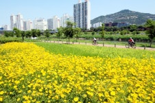 동대문구, 중랑천 장평교 둔치 3,600㎡ 규모 잔디광장 개방... 뉴스를 ‘한눈에’ 동대문구, 중랑천 장평교 둔치 3,600㎡ 규모 잔디광장 개방