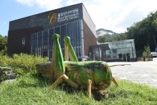 [기획특집] 노원구, 한 겨울에도 나비 볼 수 있는 ‘불암산 나비정원’... [기획특집] 노원구, 한 겨울에도 나비 볼 수 있는 ‘불암산 나비정원’ 인기