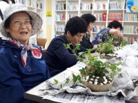 성북구 장위1동 어르신들과 ‘나만의 반려식물 만들기’... 생생한 뉴스를 ‘한눈에’ 성북구 장위1동 어르신들과 ‘나만의 반려식물 만들기’