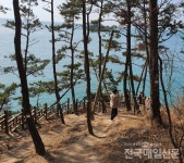 [현장포커스] 서천 동백정 관리 엉망 - 전국매일신문 - 전국의 생생한 뉴스를 ‘한눈에’ [현장포커스] 서천 동백정 관리 엉망