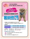 구로구, 반려견 행동교정 교실 운영 - 전국매일신문 - 전국의 생생한 뉴스를 ‘한눈에’ 구로구, 반려견 행동교정 교실 운영