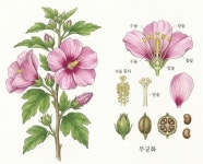 철원군농업기술센터, 여성 농업인 생태 세밀화 교육 추진... 생생한 뉴스를 ‘한눈에’ 철원군농업기술센터, 여성 농업인 생태 세밀화 교육 추진