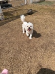 JIBS | 사진방 