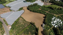 JIBS | 뉴스 다시 보기 축산 폐수에, 폐기물까지...양돈장 불법 매립 의혹