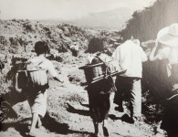 JIBS | 전체 뉴스기사 [제주의 길] ⑩ 물허벅 지고 그토록 오르내렸던 그 길...제주 여성 한 서린  오현로