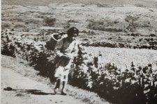 JIBS | 전체 뉴스기사 [제주의 길] ⑩ 물허벅 지고 그토록 오르내렸던 그 길...제주 여성 한 서린  오현로