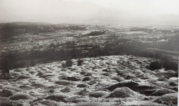 JIBS | 전체 뉴스기사 [제주의 길] ⑪ 웨딩드레스 입고 나무 심으러 가던 길..끝과 시작이 공존했던  사라봉  길