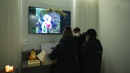 JIBS | 뉴스 다시 보기 태양광발전소 공사 방해 혐의 종친회원들 집행유예