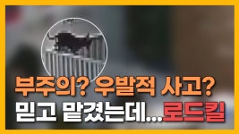 JIBS | 전체 뉴스기사 [자막뉴스] 반려동물 호텔서 사라진 강아지, '로드킬' 주검으로