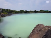 JIBS | 전체 뉴스기사 하얗게 변해버린 김녕 바다.. 원인 조사  착수