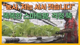JIBS | 전체 뉴스기사 [자막뉴스] 일손 부담 줄이고 재배량은 늘리고 이게  스마트팜