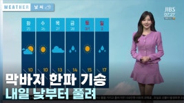 JIBS | 뉴스 다시 보기 비자림로 환경영향평가...엉터리 조사?