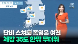 JIBS | 뉴스 다시 보기 수망태양광...도의회 환도위  통과