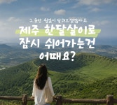 JIBS | 전체 뉴스기사 다음 삶이 있다면, 그곳은 제주였으면 해… 한 달 살기에 178팀 몰렸다