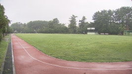 JIBS | 전체 뉴스기사 장기미집행 도시공원 전면조사 실시