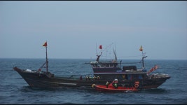 JIBS | 전체 뉴스기사 작은 그물코 이용 어린 고기 포획 중국어선 1척 나포