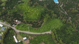 JIBS | 전체 뉴스기사 제주참여환경연대 주택단지 아닌 공원 필요