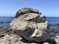 JIBS | 전체 뉴스기사 님아 그 돌에 오르지 마오 가파도의 금기