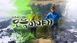 JIBS | 정규프로그램 JIBS특집 제주의 오름 이야기