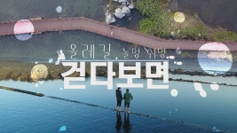 JIBS | 정규프로그램