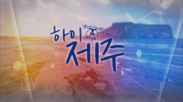 JIBS | 정규프로그램 하이 제주