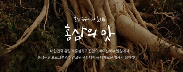 진안홍삼축제