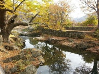 진안군 문화관광 - 관광도우미 > 관광안내 > 통합검색