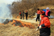 진안군청 : 소통/참여 > 지역소식 > 보도자료 상세보기