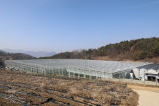 게시물 보기 페이지